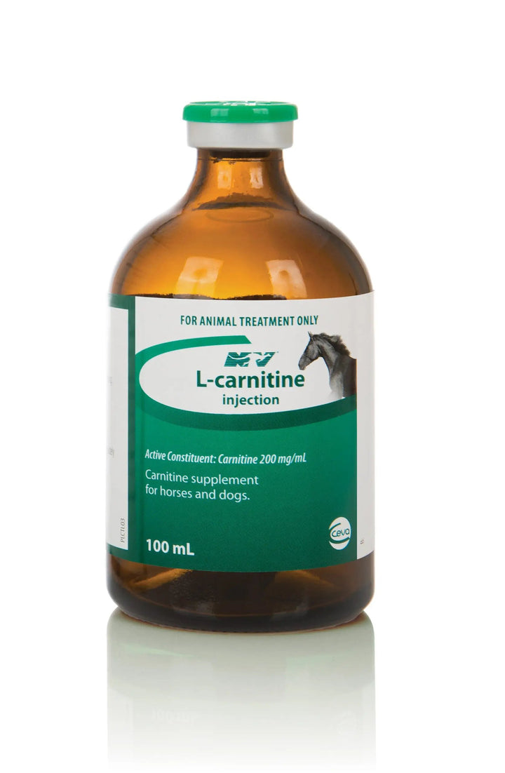 L-Carnitine injection 100mL bottle for horses and camels, supports peak fuel performance, energy production, and muscle function.