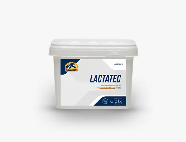 Cavalor Lactatec 2kg muscle supplement for horses, designed to improve muscle function, reduce fatigue, and support faster recovery.