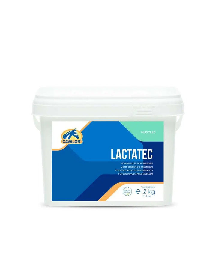 LACTATEC complete muscle support supplement for horses, 2kg container by Cavalor, ideal for enhancing equine muscle performance.
