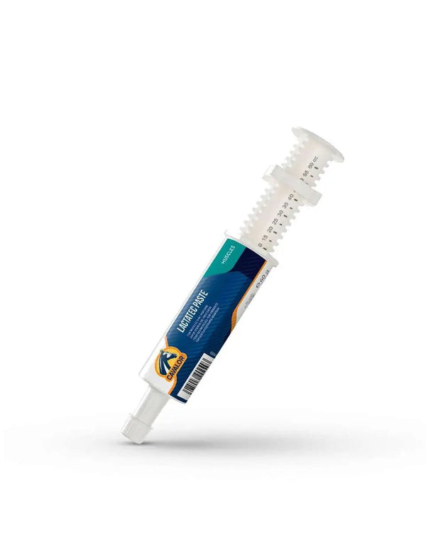LACTATEC PASTE dietary supplement for horses in a syringe applicator, supports muscle recovery and reduces fatigue in animals.