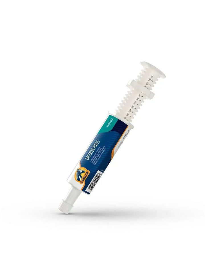 LACTATEC PASTE dietary supplement for horses in a syringe applicator, supports muscle recovery and reduces fatigue in animals.