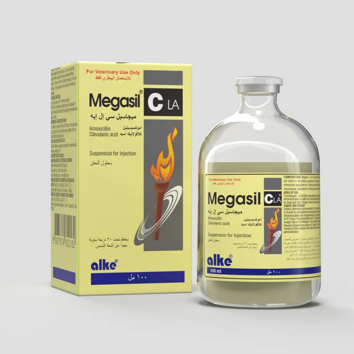 Megasil Cla Amoxicillin Clavulanic Acid 100ml injection for cats, dogs, and cattle. Broad-spectrum pet antibiotic for respiratory and skin infections.