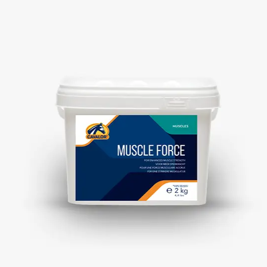 Cavalor Muscle Forse 2kg natural nutritional supplement for horses, supports muscle growth and performance in Animals & Pet Supplies.