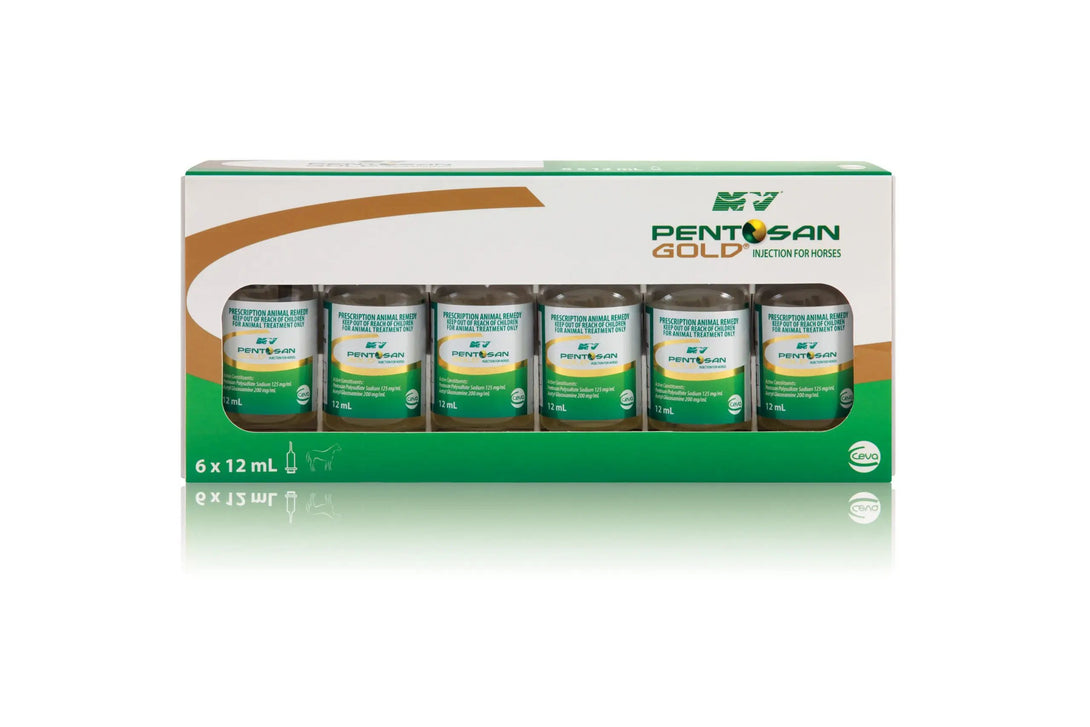 Pentosan Gold Injection for horses, 6 x 12mL vials in retail packaging. An effective treatment for joint pain and inflammation in equine care.