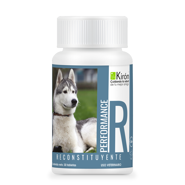 Performance Reconstituyente pet supplement for dogs. Veterinary-use multivitamin ideal for active dogs, puppies, and post-illness recovery.
