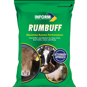 RUMBUFF supplement bag for dairy cows, beef cattle, calves, and sheep. Veterinary-approved solution to improve rumen performance and digestion.
