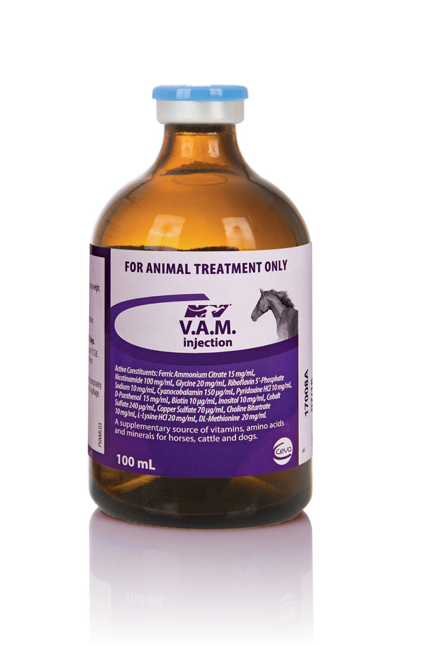 VAM Injection 100mL bottle for horses and camels, a unique formulation of vitamins, minerals, and amino acids for energy and muscle recovery.