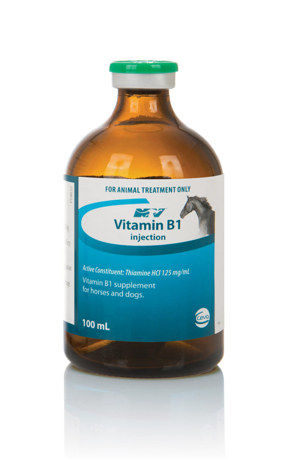 Vitamin B1 Injection for camels and horses, 100 mL bottle, supports energy production, nerve function, and muscle recovery in animals.