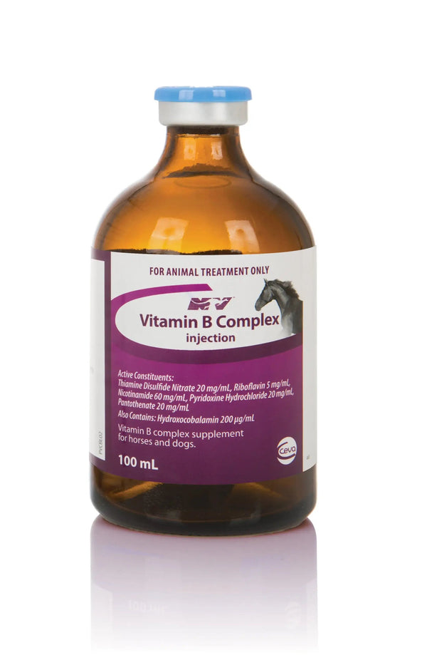 Vitamin B Complex Injection for camels and horses, 100mL supplement promoting energy, muscle recovery, and a healthy body and mind.