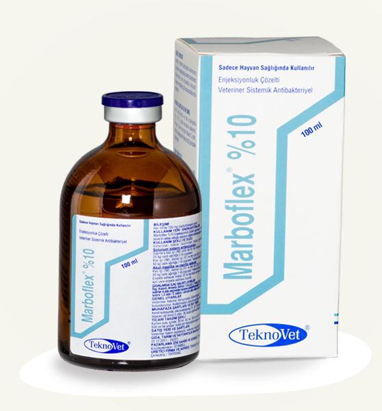 MARBOFLEX 10% antibiotic injection for horses and camels, 100ml veterinary antibacterial solution by TeknoVet for respiratory and reproductive issues.