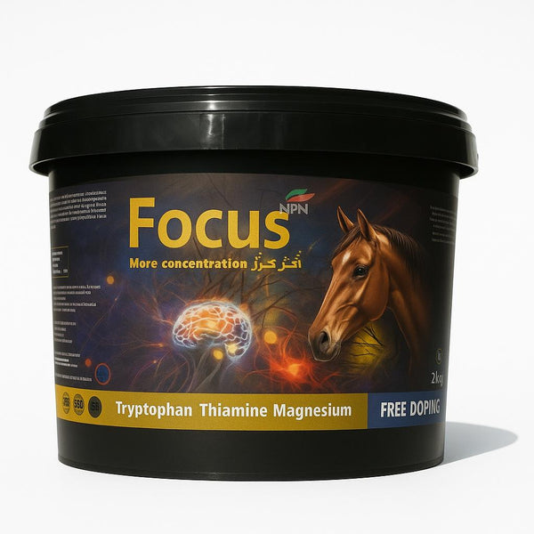Focus neuro-muscular support supplement for racing horses and camels with Tryptophan, Thiamine, and Magnesium in a 2kg container. Enhances focus and stress relief.