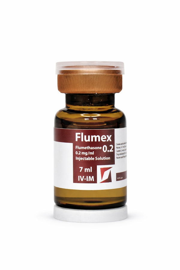Camel Muscle Fatigue - Muscle Recovery Supplement – الزعفران