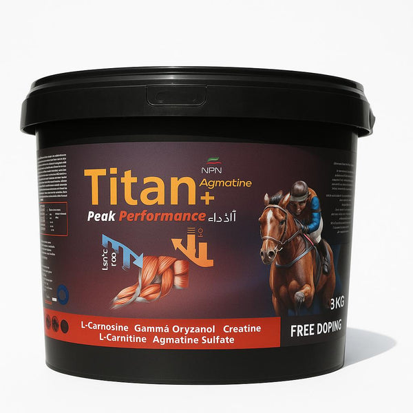 Titan performance supplement for racing horses and camels in a 3KG black container. Enhances muscle growth, stamina, and recovery for peak performance.