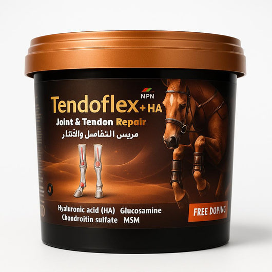 Tendoflex - Joint Support Supplement for horses and camels in pellet form, featuring glucosamine, chondroitin, HA, and MSM for tendon repair.