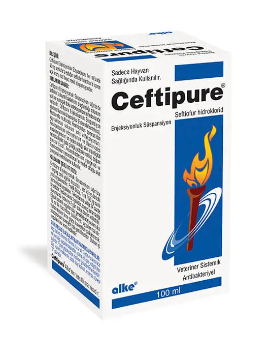 Ceftipure broad-spectrum antibiotic for cattle in 100ml box packaging, used for treating infections and ensuring rapid recovery in livestock.