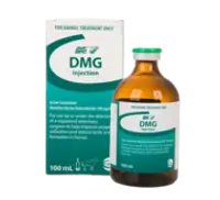 DMG Injection for camels and horses, veterinary supplement to improve animal endurance, stamina, and muscle recovery, 100ml bottle with box.