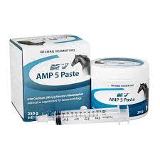 AMP-5 Paste 250g with syringe and box packaging, veterinary-recommended supplement for camels and horses to enhance stamina and relieve pain.