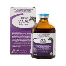 VAM Injection 100mL with packaging, designed for camels and horses to support recovery, energy, and muscle strength with essential nutrients.