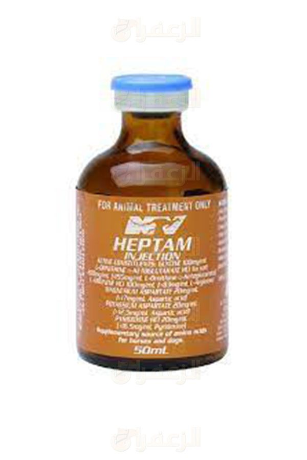HEPTAM INJECTION anti-inflammatory drug for camels and horses in 50ml brown glass bottle. Used to relieve joint pain and improve mobility.
