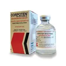 CORPOTEN injectable camel supplement for sport horses, designed to boost cardiopulmonary performance and endurance during intense activity.