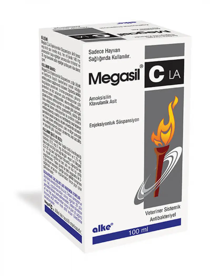 Megasil Cla veterinary antibiotic suspension 100ml with Amoxicillin Clavulanic Acid. Treats infections in dogs, cats, and cows effectively.