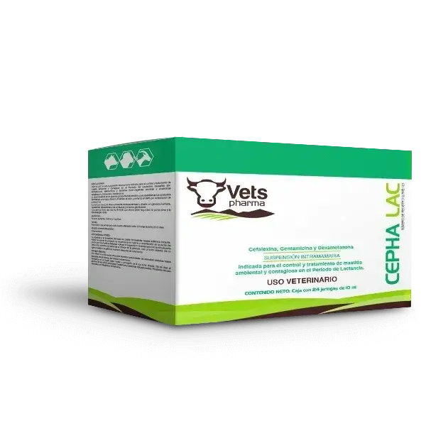 Cepha Lac mastitis treatment box for cows by Vets Pharma, featuring cephalexin and gentamicin for intramammary use. Veterinary antibiotic for udder health.