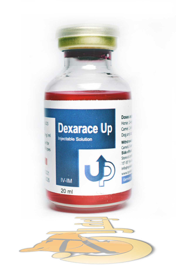 DEXARACE UP | دكسا ريس أب | الزعفران | مقويات | بيطرية | هجن | خيول