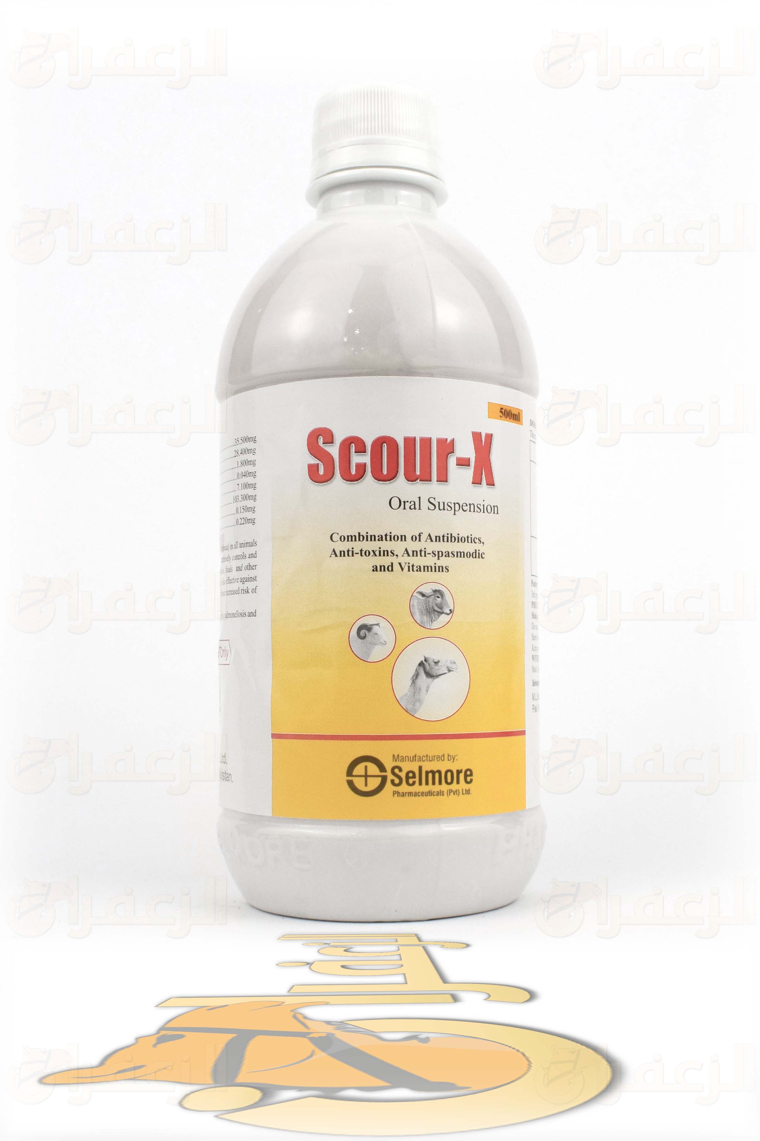 SCOUR X SELMOR 500 ML - الزعفران