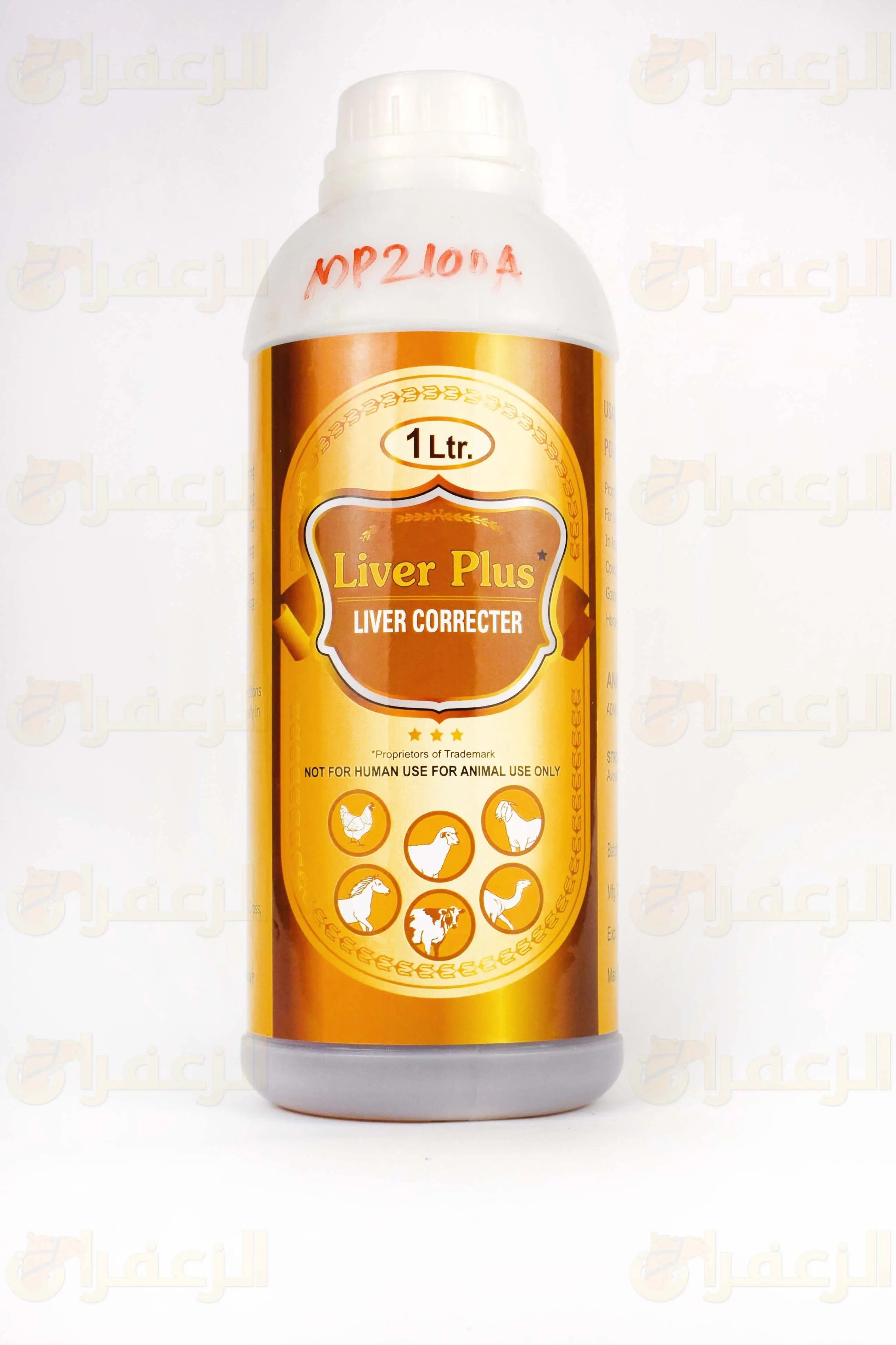 LIVER PLUS 1LTR \ ليفر بلاس - الزعفران