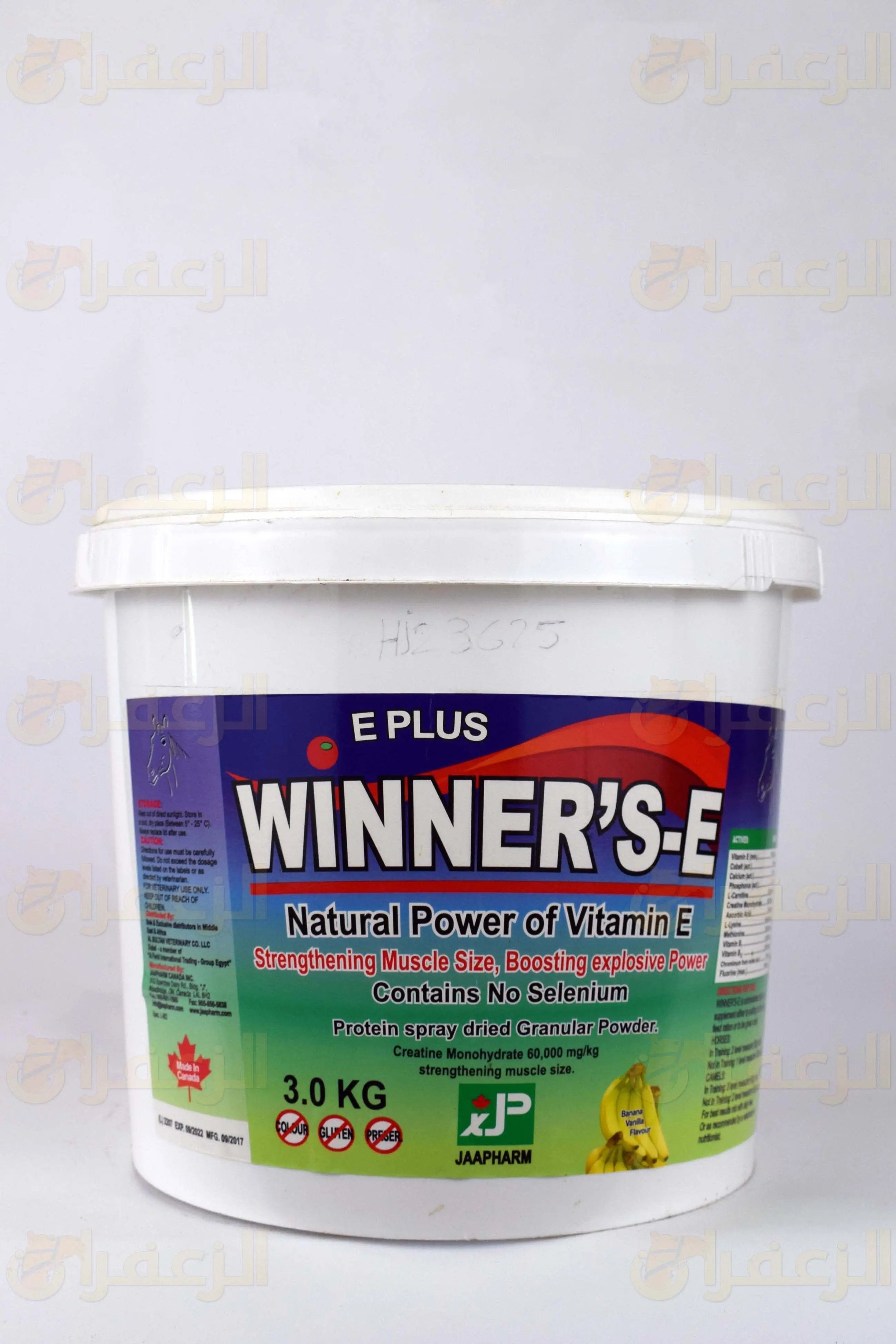 وينر    \ WINNERS-E - الزعفران