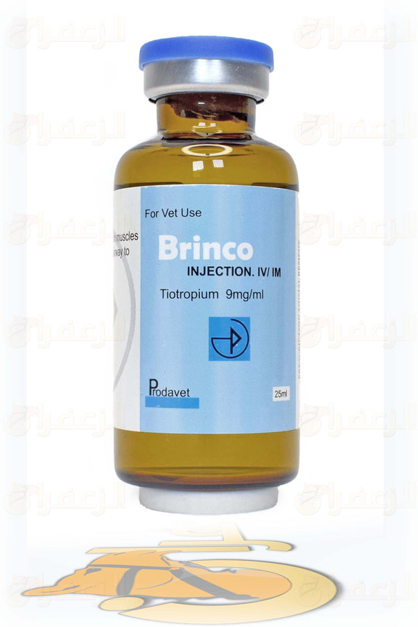 برنكو \ BRINCO - الزعفران