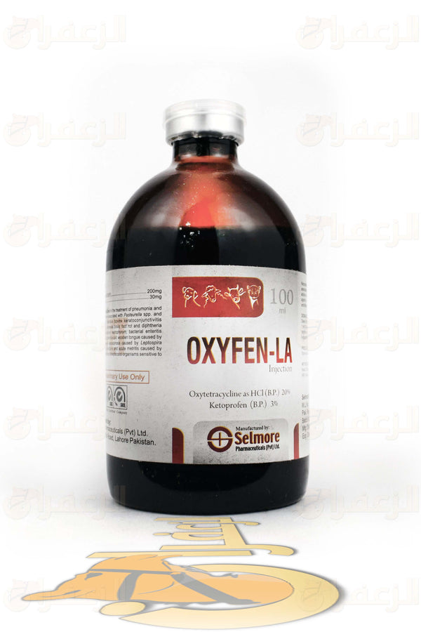 OXYFEN-LA | أوكسيفين-لا - حلاً بيطريًا فعّالًا ومستدامًا لصحة الخيول القوية | الزعفران | مقويات | بيطرية | هجن | خيول