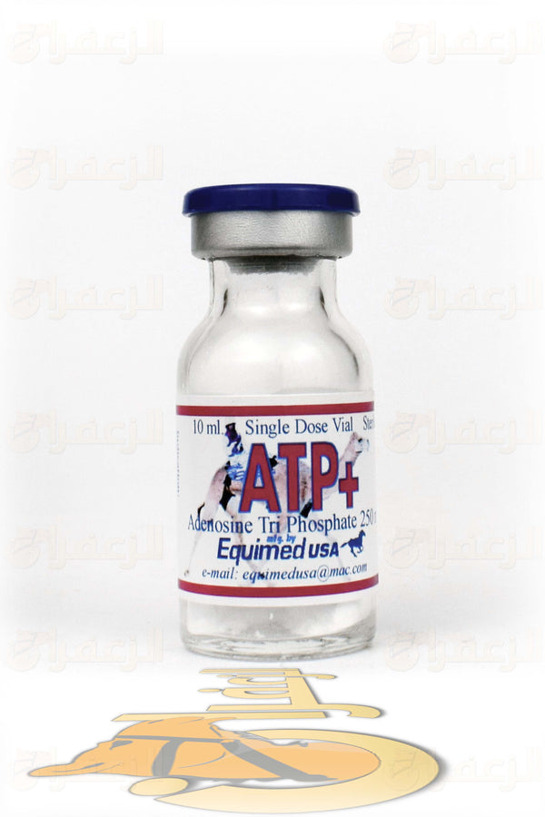 ATP + | اي تي بي بلاس | الزعفران | مقويات | بيطرية | هجن | خيول