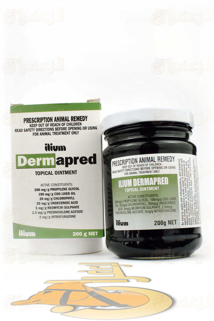 DERMAPRED Cream | ديرما برد كريم | الزعفران | مقويات | بيطرية | هجن | خيول