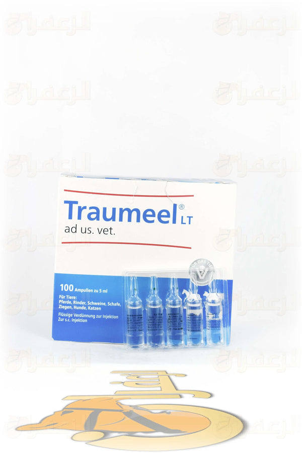 TRAUMEEL INJECTION 5ML | تروميل 5 مل | الزعفران | مقويات | بيطرية | هجن | خيول