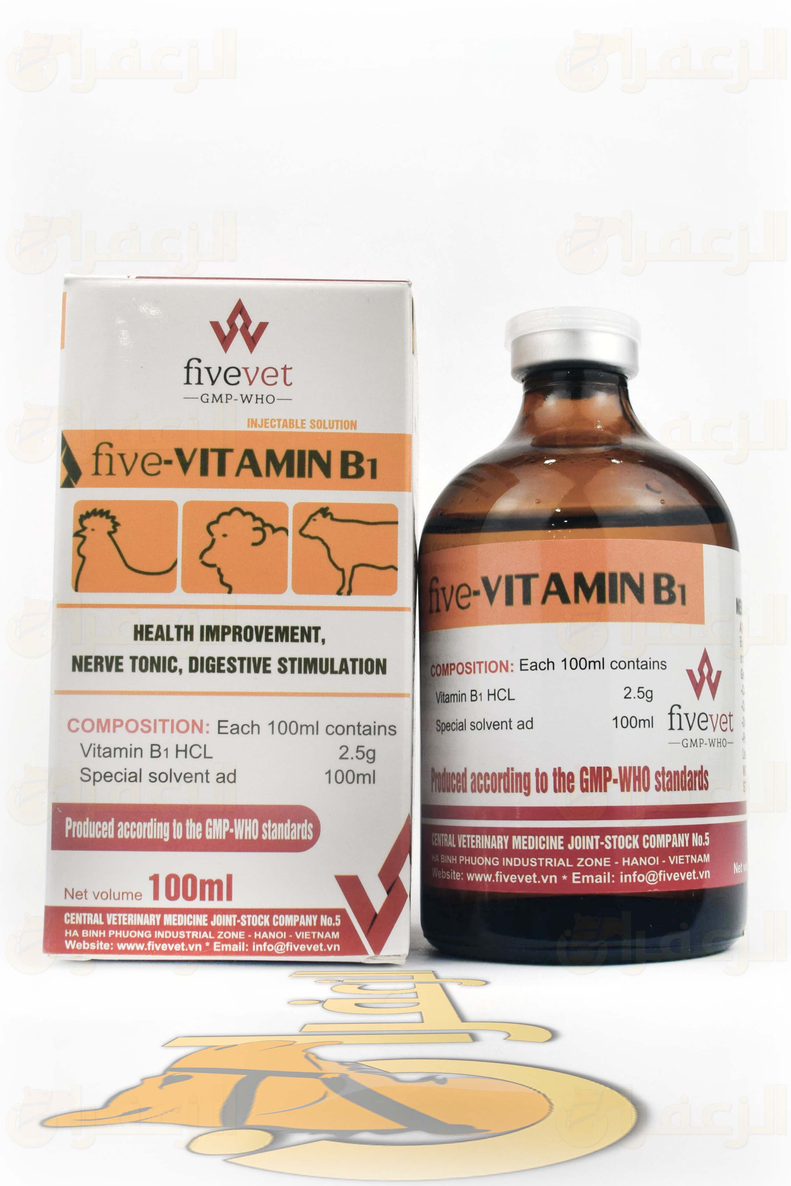 فيتامين ب1 \ FIVE-VITAMIN B1 - الزعفران