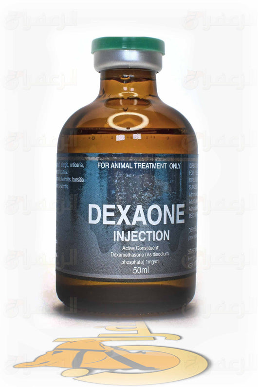 DEXAONE veterinary injection bottle 50ml for camels and horses, used as a pain reliever and performance enhancer with saffron extract.