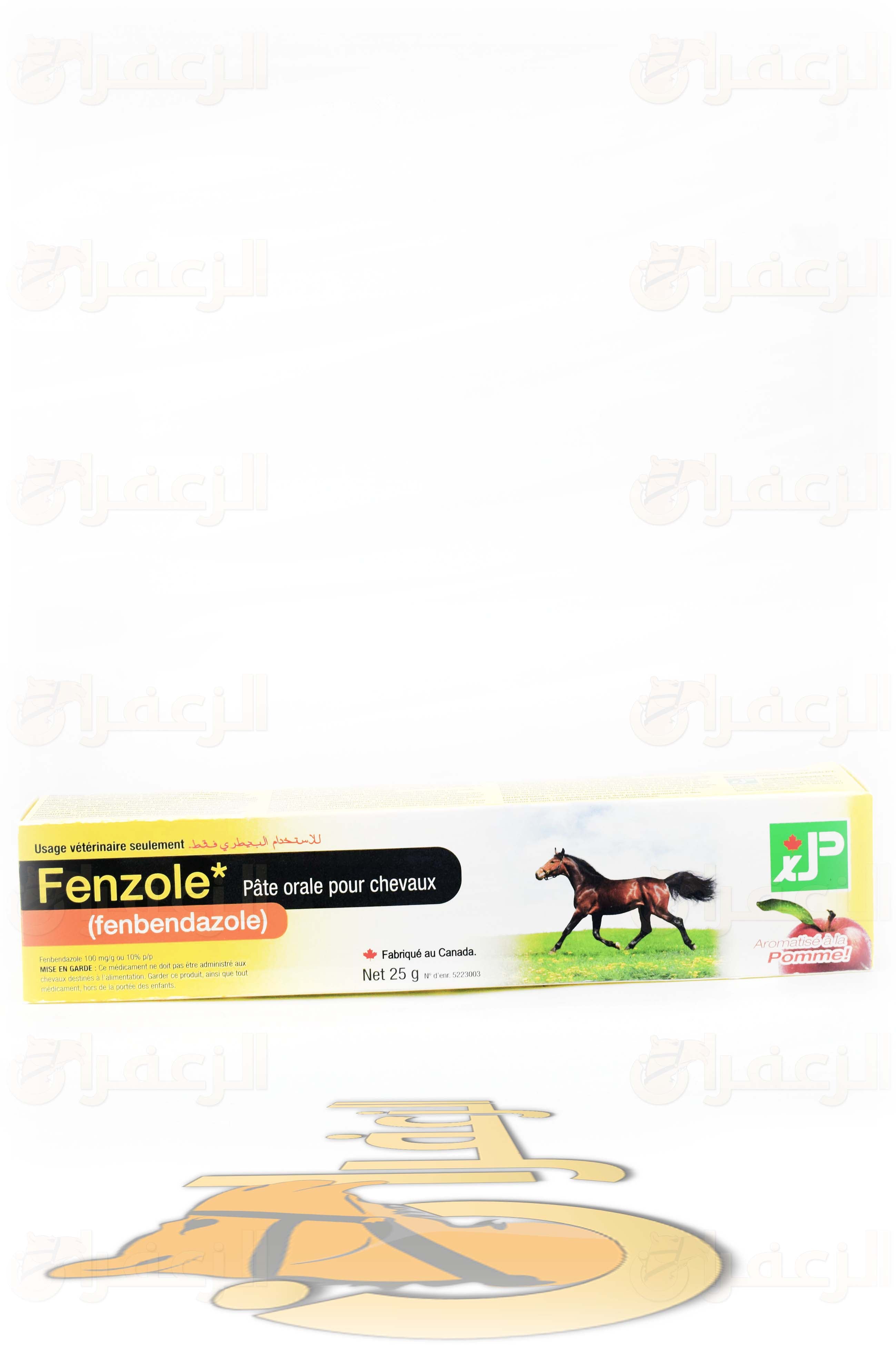 معصار فينزول 60 مل \ FENZOLE PASTE 25GM - الزعفران