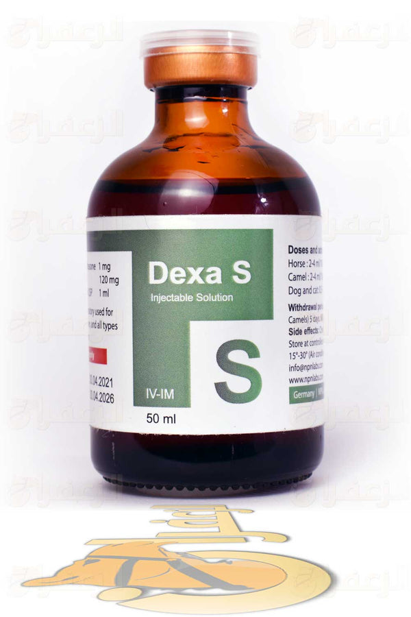 DEXA S | دكسا اس | الزعفران | مقويات | بيطرية | هجن | خيول