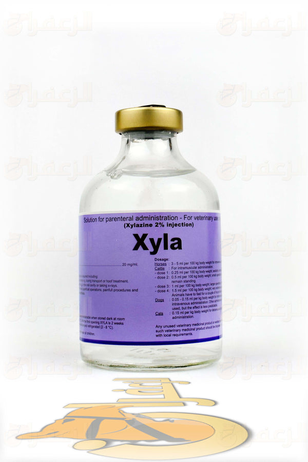XYLA 50ML | اكسيلا | الزعفران | مقويات | بيطرية | هجن | خيول