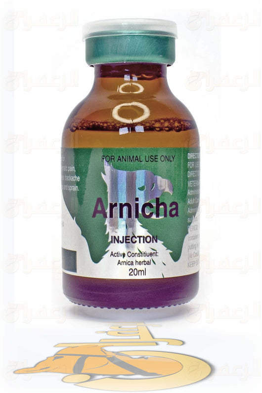 ARNICHA | ارنيكا | الزعفران | مقويات | بيطرية | هجن | خيول