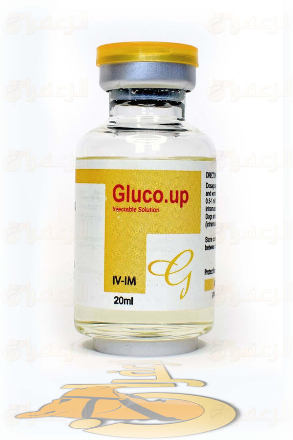 GLOCO UP | غلوكو-أب | الزعفران | مقويات | بيطرية | هجن | خيول