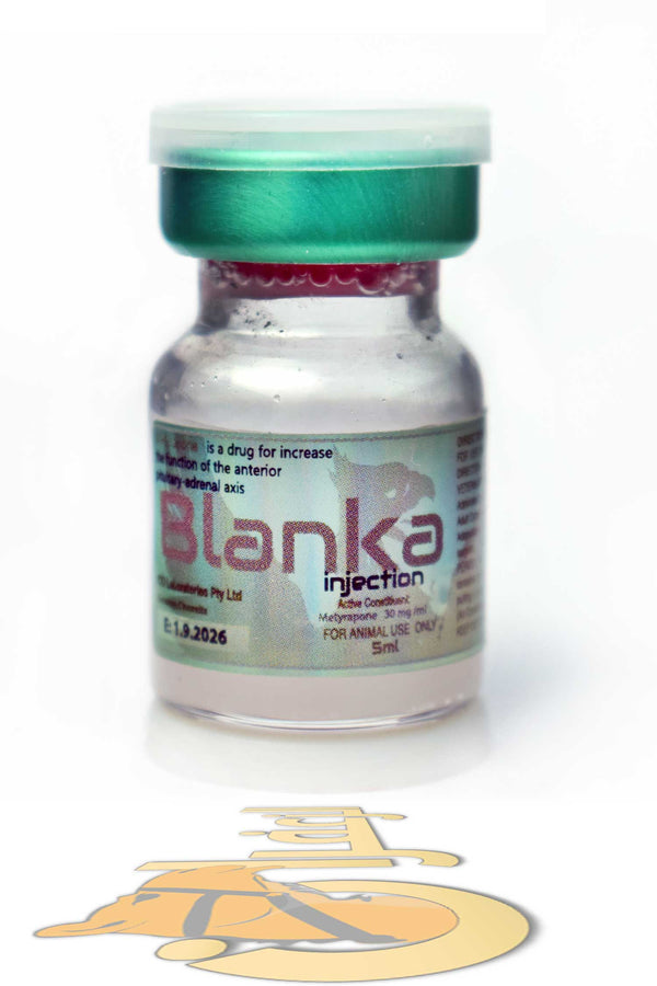 بلانكا \ BLANKA - الزعفران