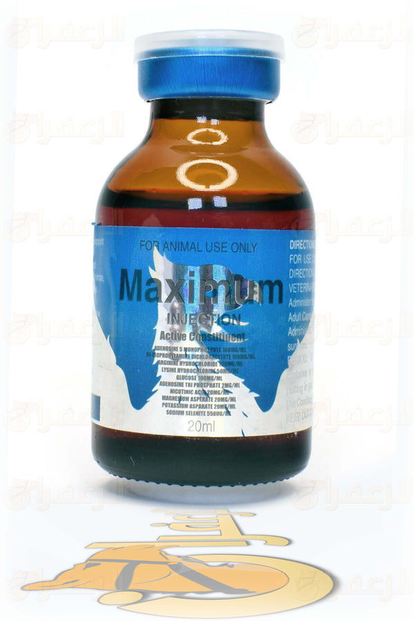 MAXIMIUM | ماكسيموم | الزعفران | مقويات | بيطرية | هجن | خيول
