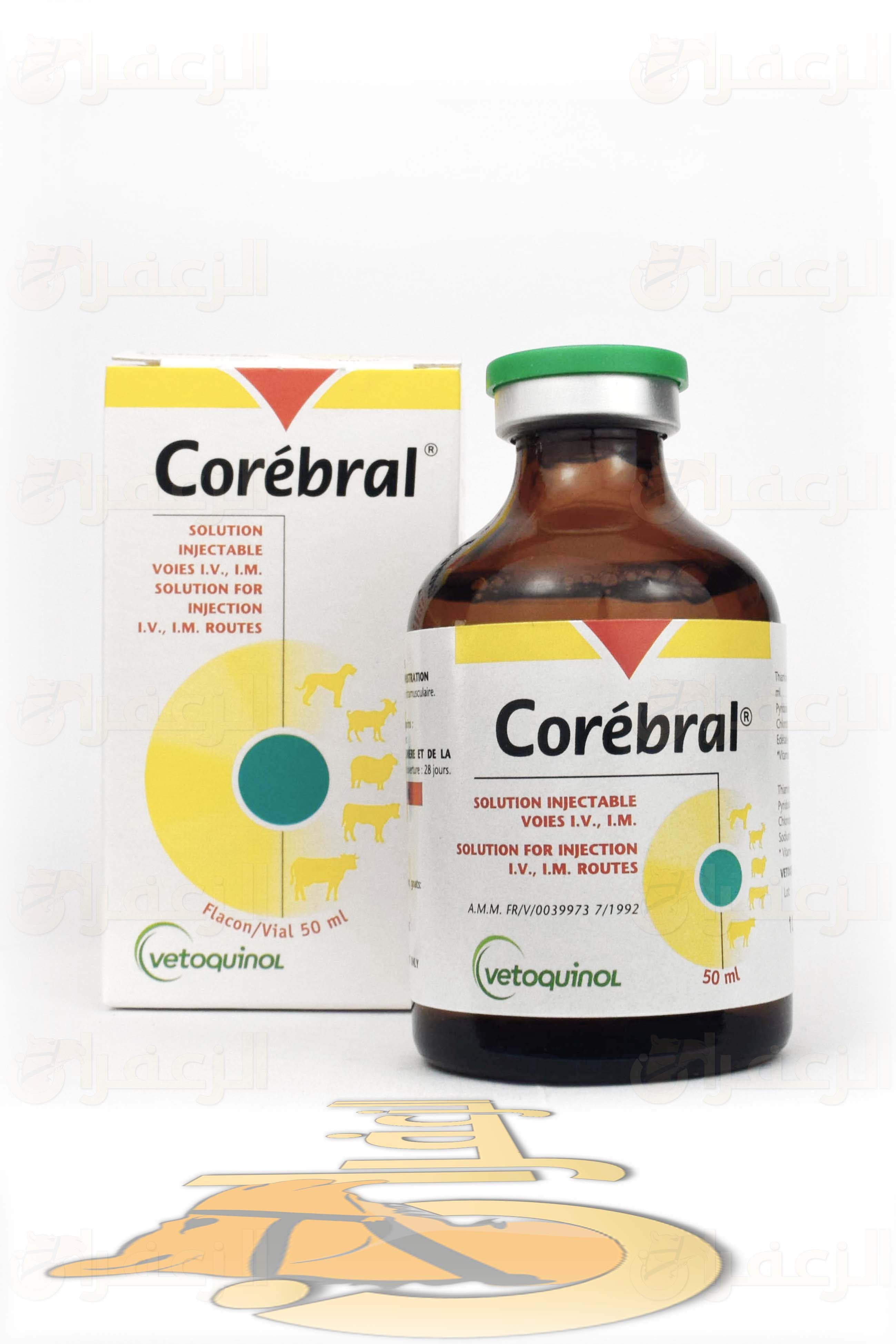 كوربرال \ COREBRAL - الزعفران