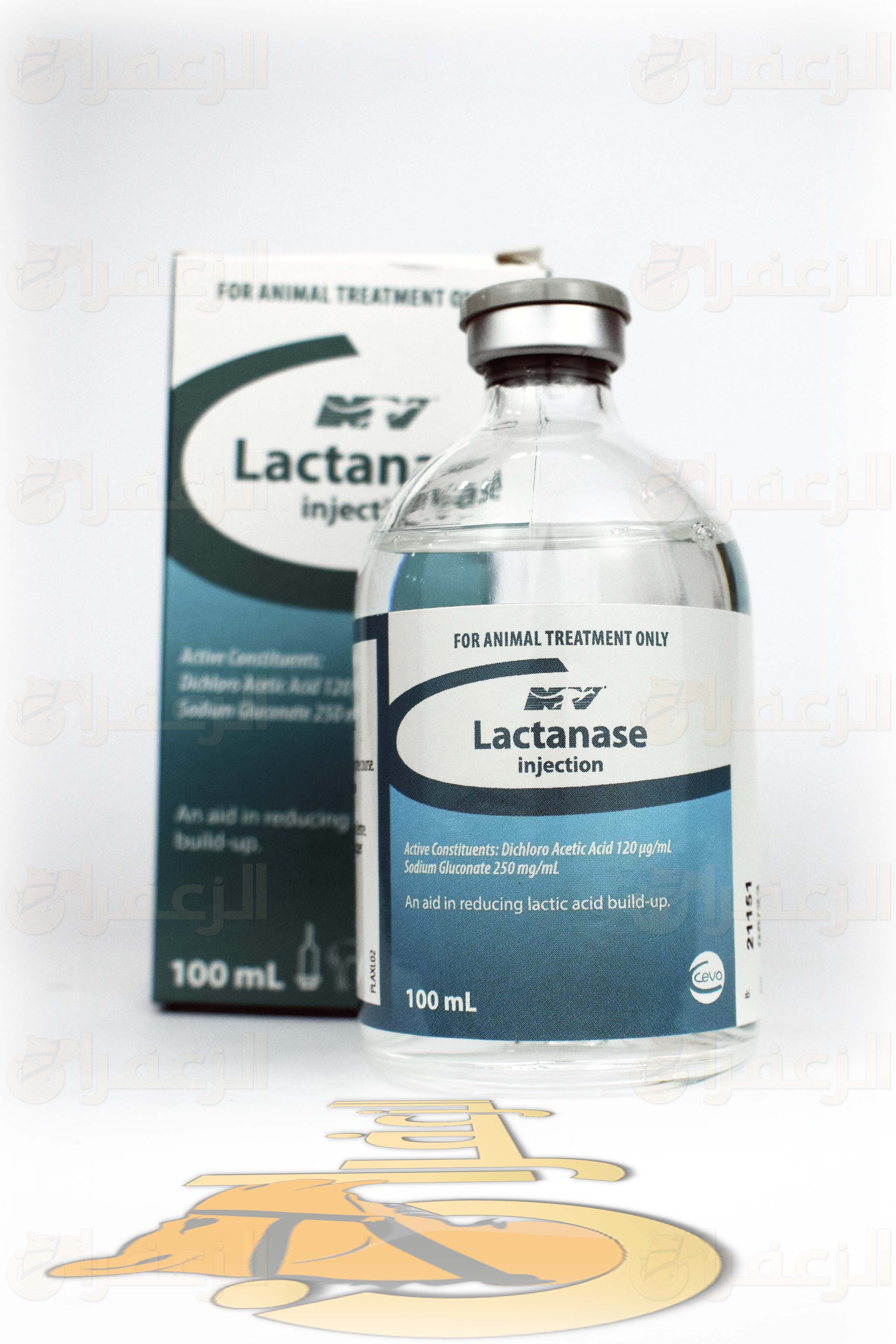 لاكتاناز \ LACTANASE - الزعفران