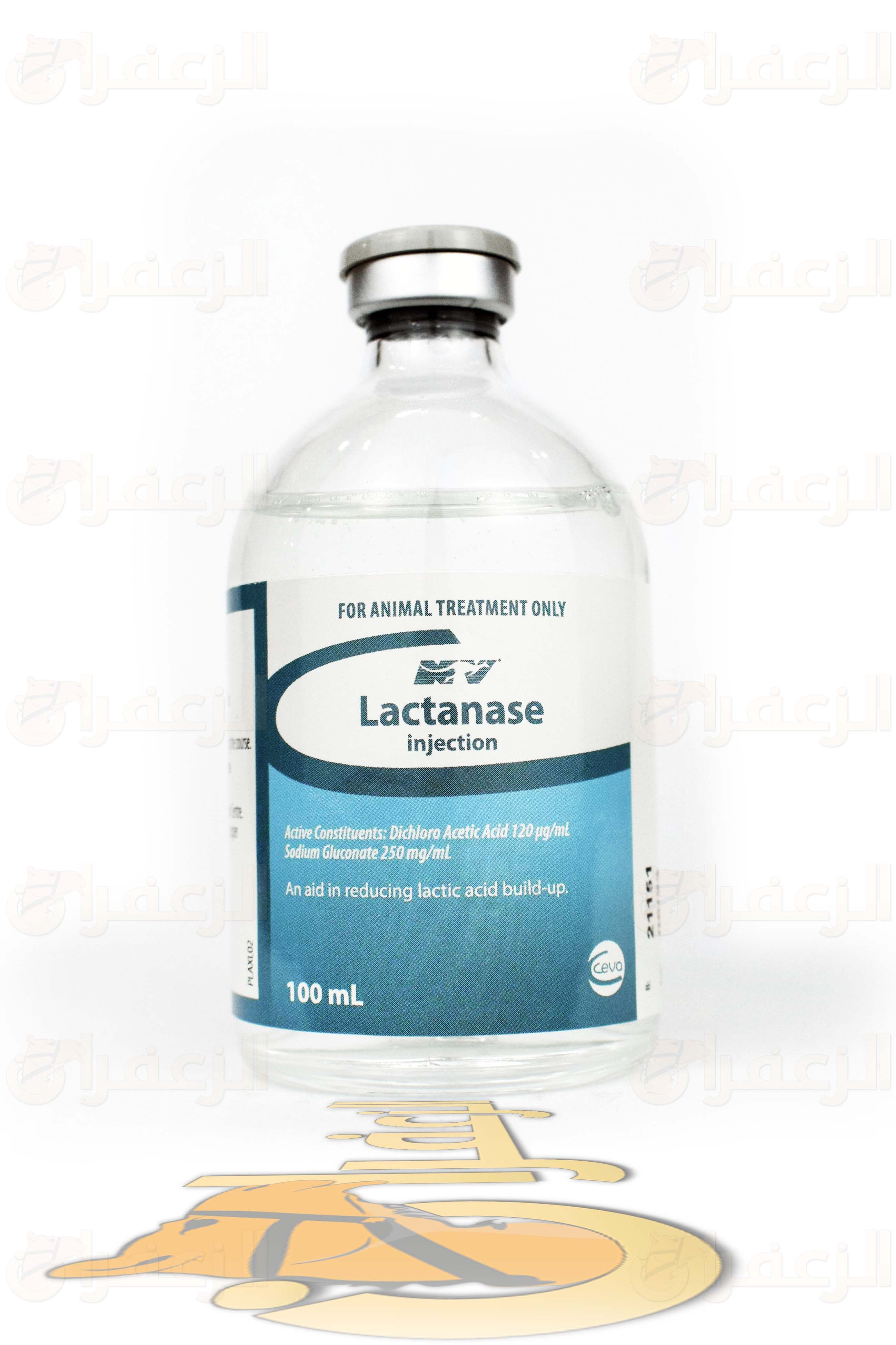 لاكتاناز \ LACTANASE - الزعفران