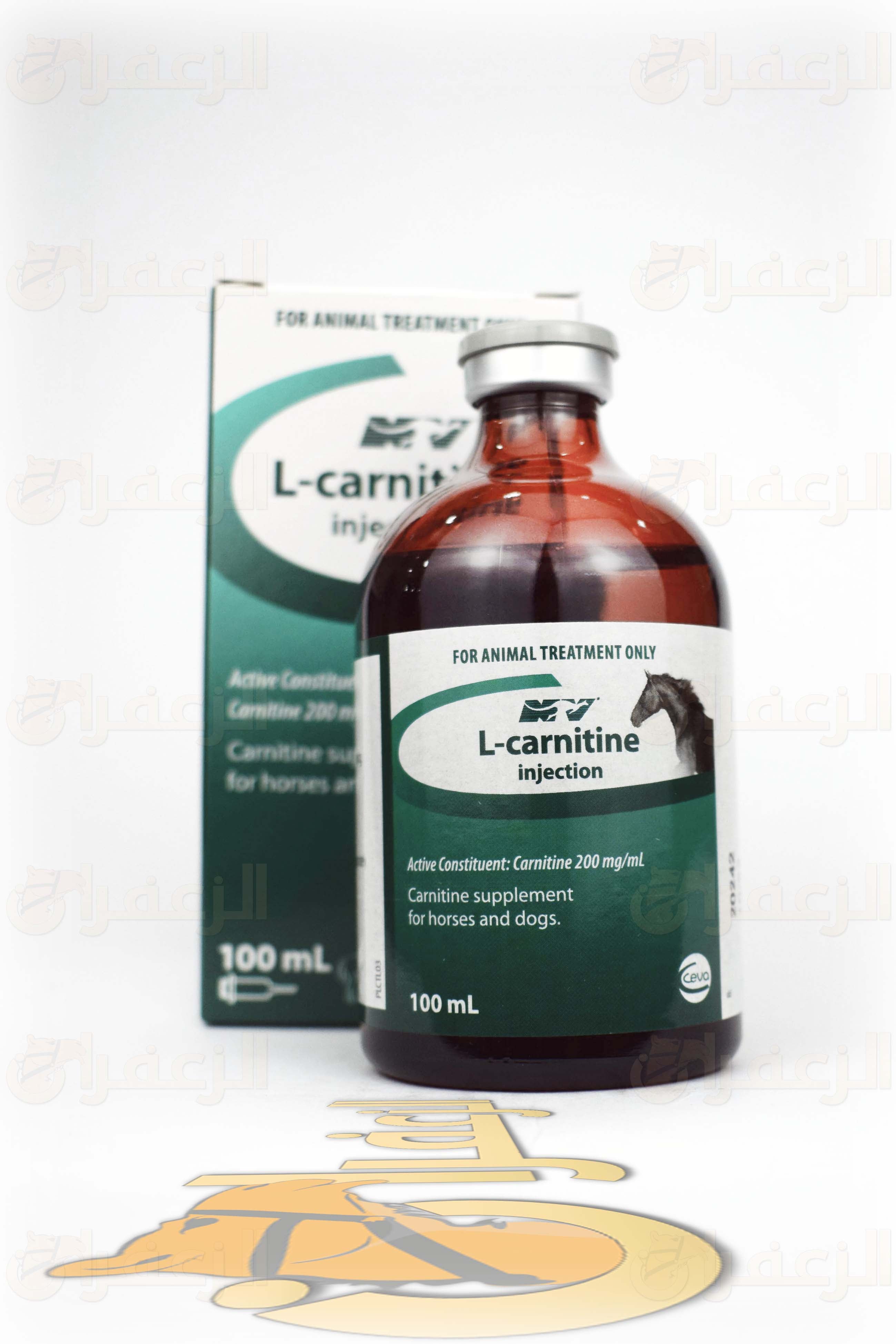 ل كارنيتين \ L-CARNITINE - الزعفران