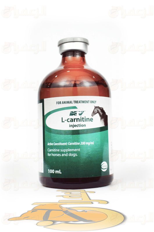 L-CARNITINE supplement bottle for animals with Arabic branding, supports energy and muscle health in horses and dogs.