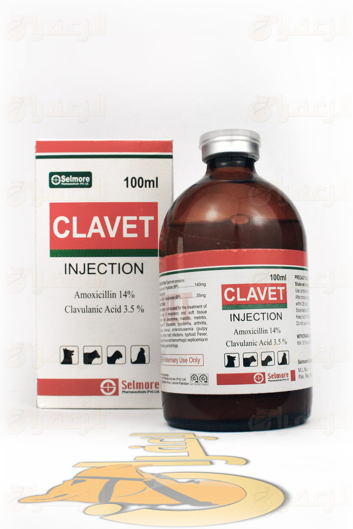 CLAVET | كلافيت | الزعفران | مقويات | بيطرية | هجن | خيول